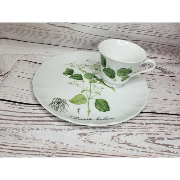 Vintage Hocquart Del Et Sculp Pl 95 Clematite Brulante Tea Cup And Plate Set - Picture 8 of 12